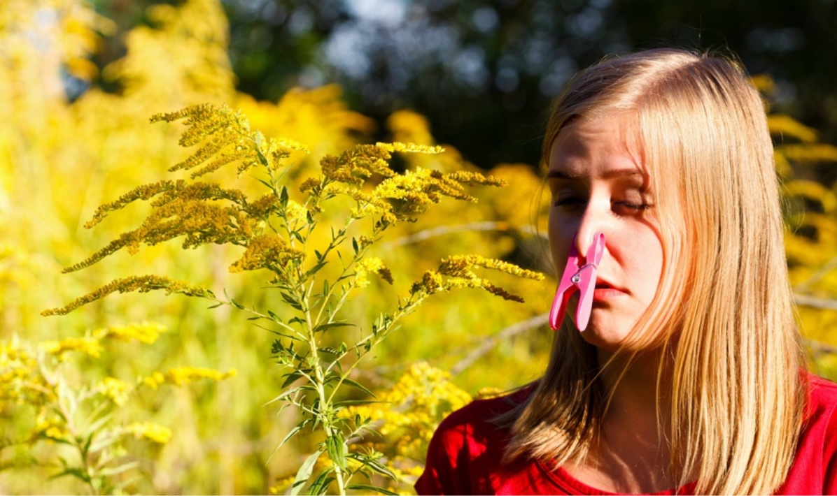 tipps pollenbelastung senken in der wohnung