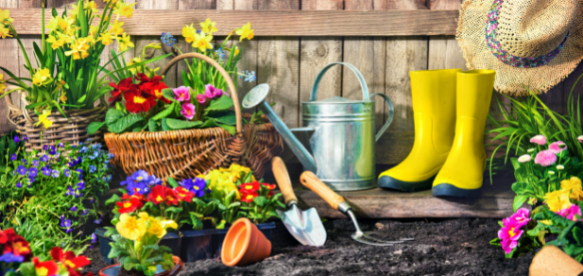 Gartenarbeit im Frühjahr - der Gartenkalender