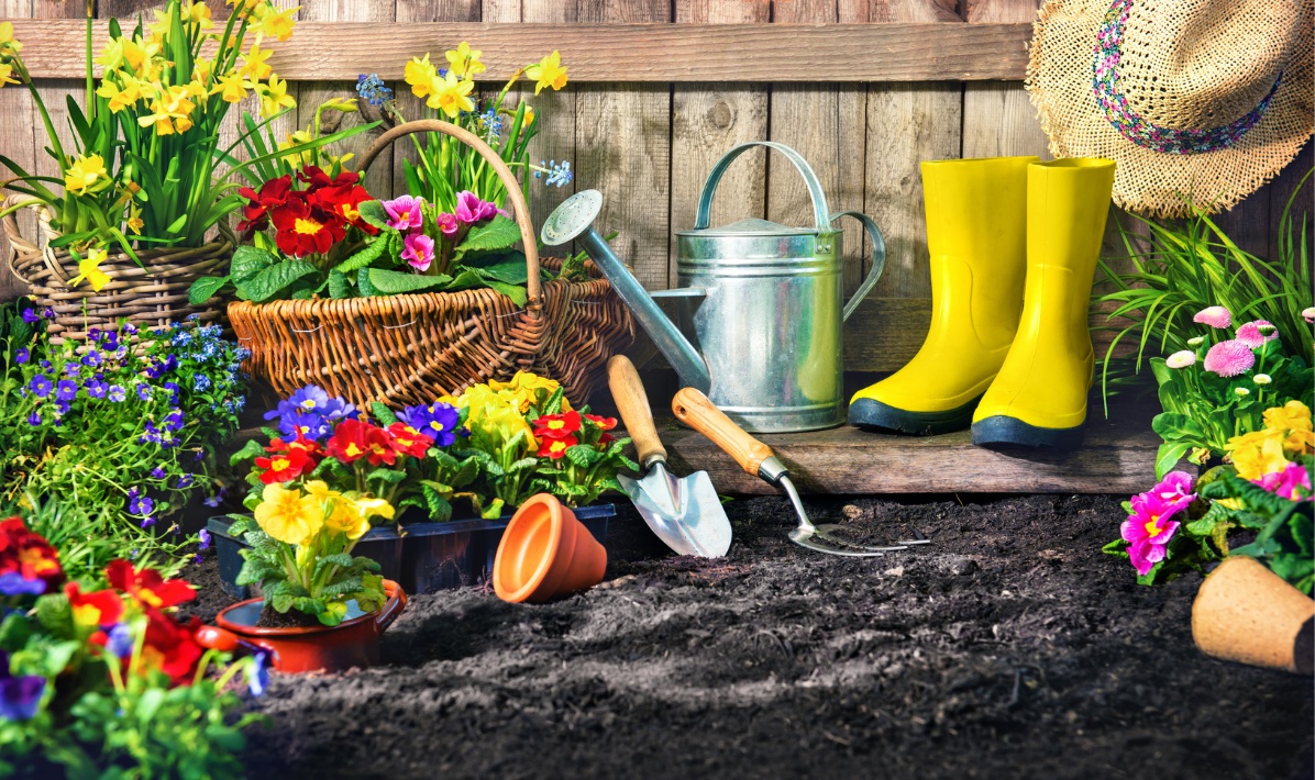 Gartenarbeit im Frühjahr - der Gartenkalender